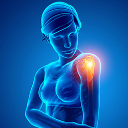 what is Shoulder Trauma?